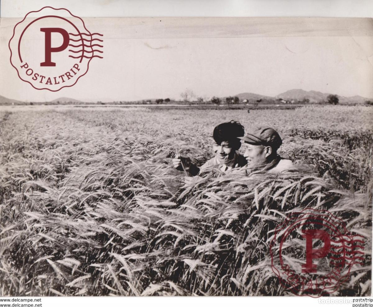 Photographie ancienne: CHINA CHINE CHINCKUAN SEE 2 SCAN 24 * 18 CM