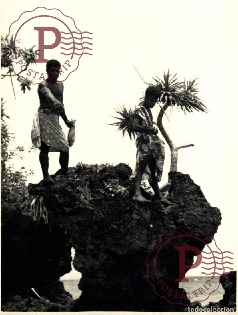 Fotograf&iacute;a antigua: OCEANIA OCEANIE. NOUVELLE CALEDONIE. NUEVA CALEDONIA. NOUMEA +- 17.5X12.5CM