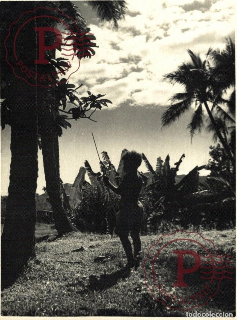 Fotograf&iacute;a antigua: OCEANIA OCEANIE. NOUVELLE CALEDONIE. NUEVA CALEDONIA. NOUMEA +- 17.5X12.5CM
