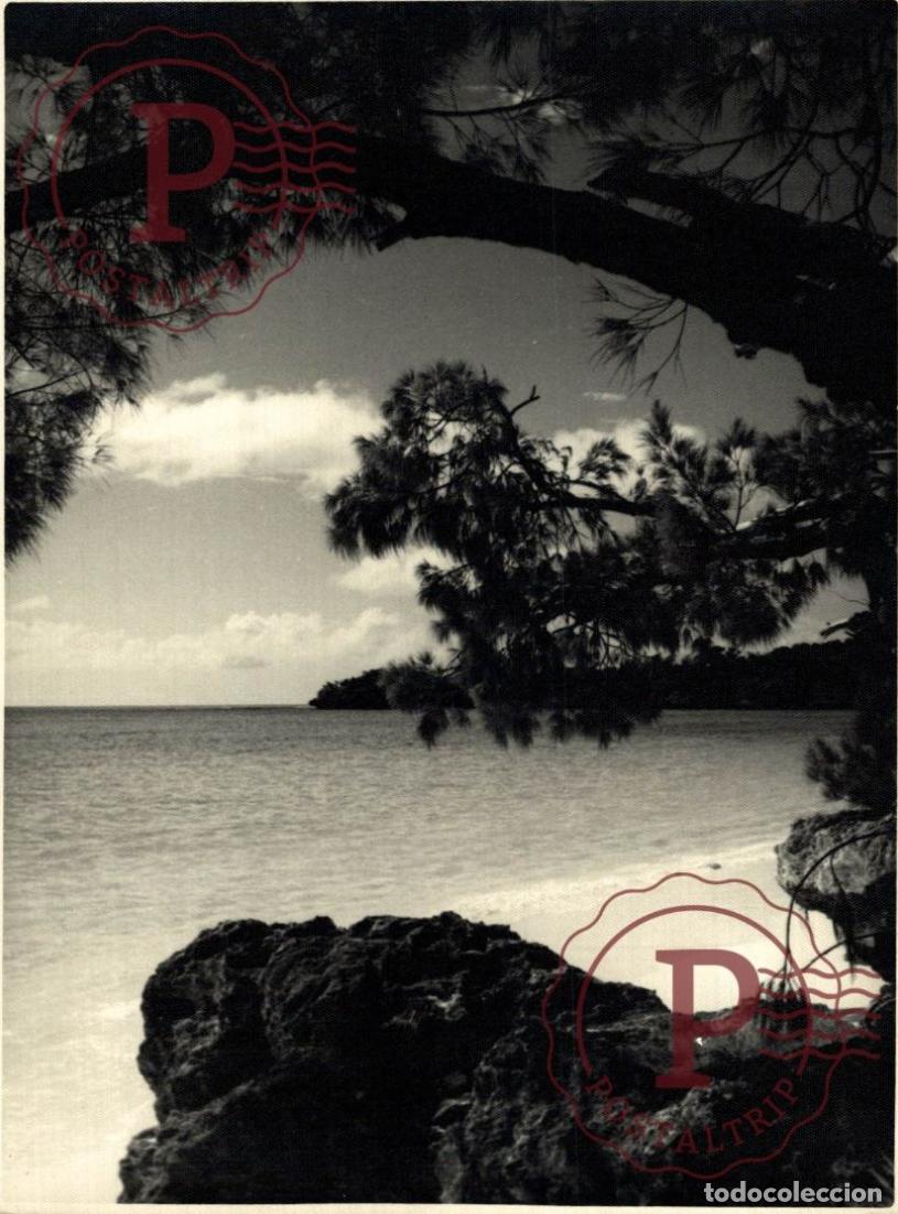 Fotograf&iacute;a antigua: OCEANIA OCEANIE. NOUVELLE CALEDONIE. NUEVA CALEDONIA. LIFOU +- 17.5X12.5CM