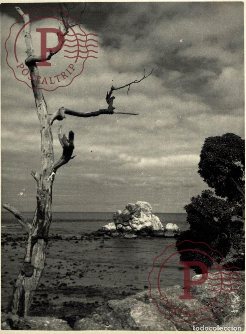 Fotograf&iacute;a antigua: OCEANIA OCEANIE. NOUVELLE CALEDONIE. NUEVA CALEDONIA. +- 17.5X12.5CM