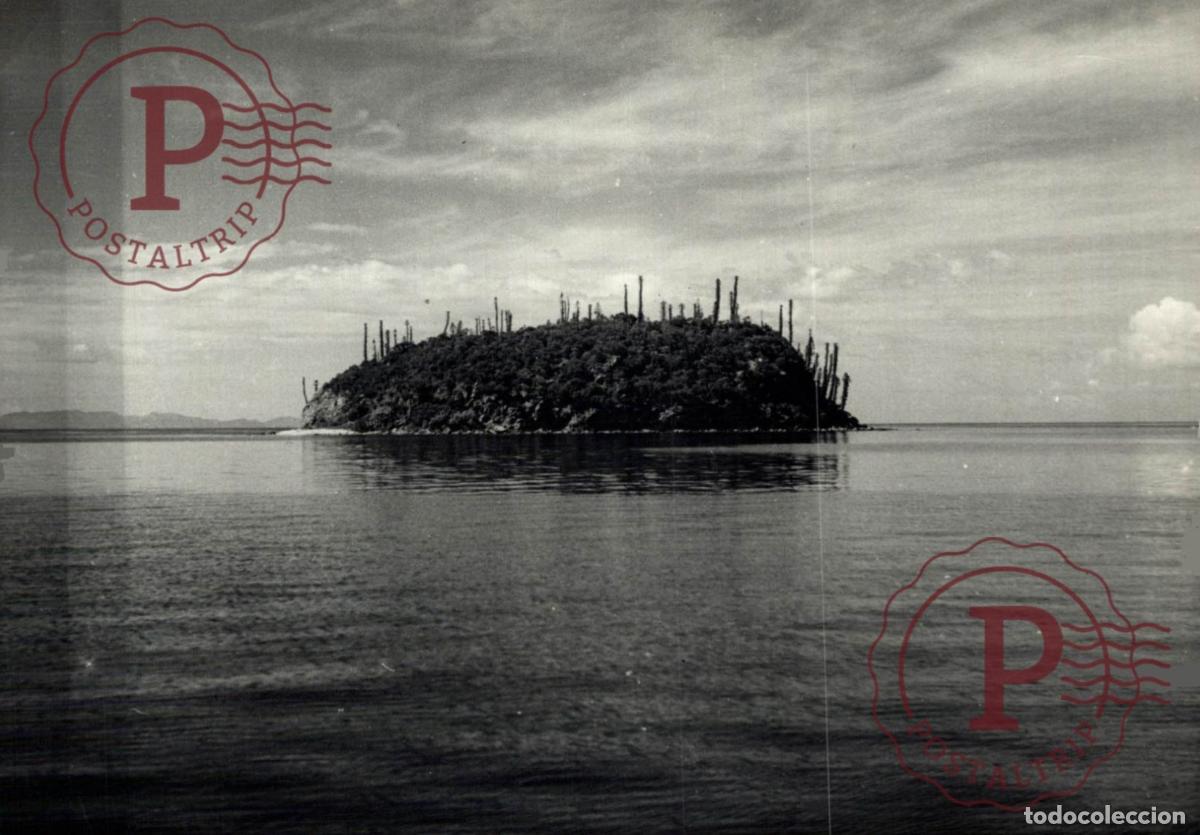 Fotograf&iacute;a antigua: OCEANIA OCEANIE. NOUVELLE CALEDONIE. NUEVA CALEDONIA. PRES DE LILE DES PINS +- 16.5X12CM