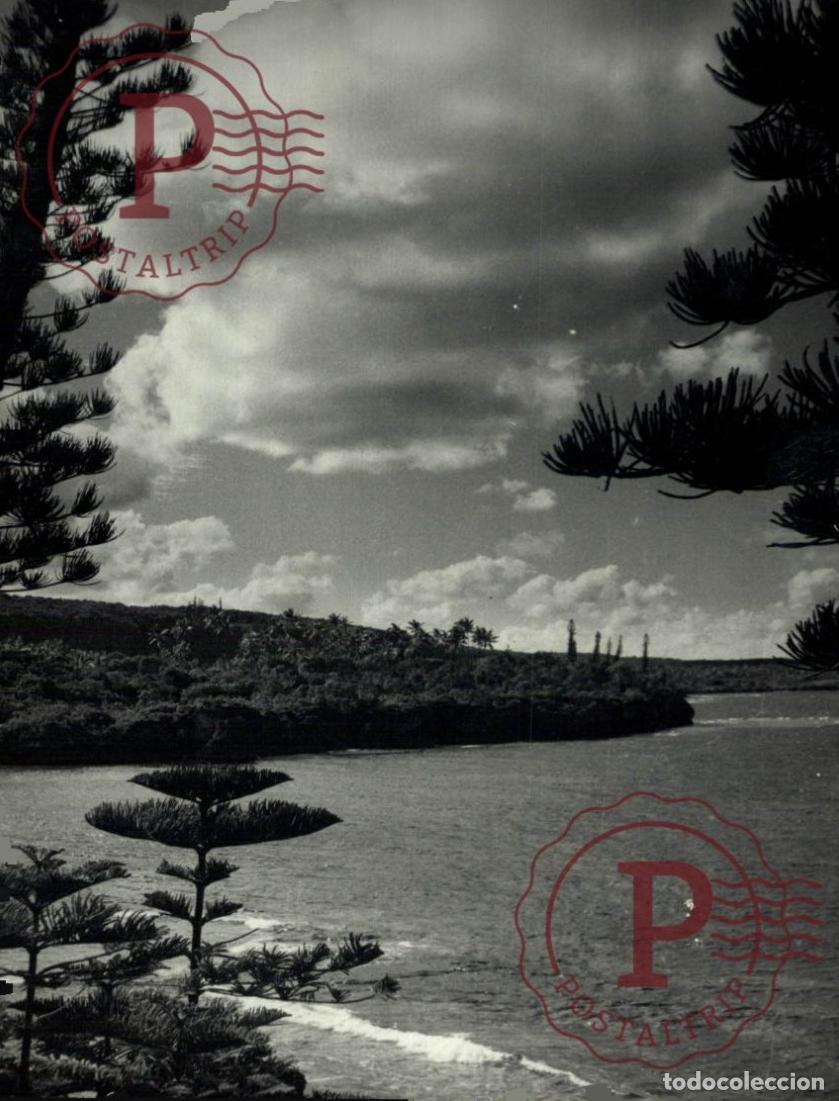 Fotograf&iacute;a antigua: OCEANIA OCEANIE. NOUVELLE CALEDONIE. NUEVA CALEDONIA. +- 16.5X12CM