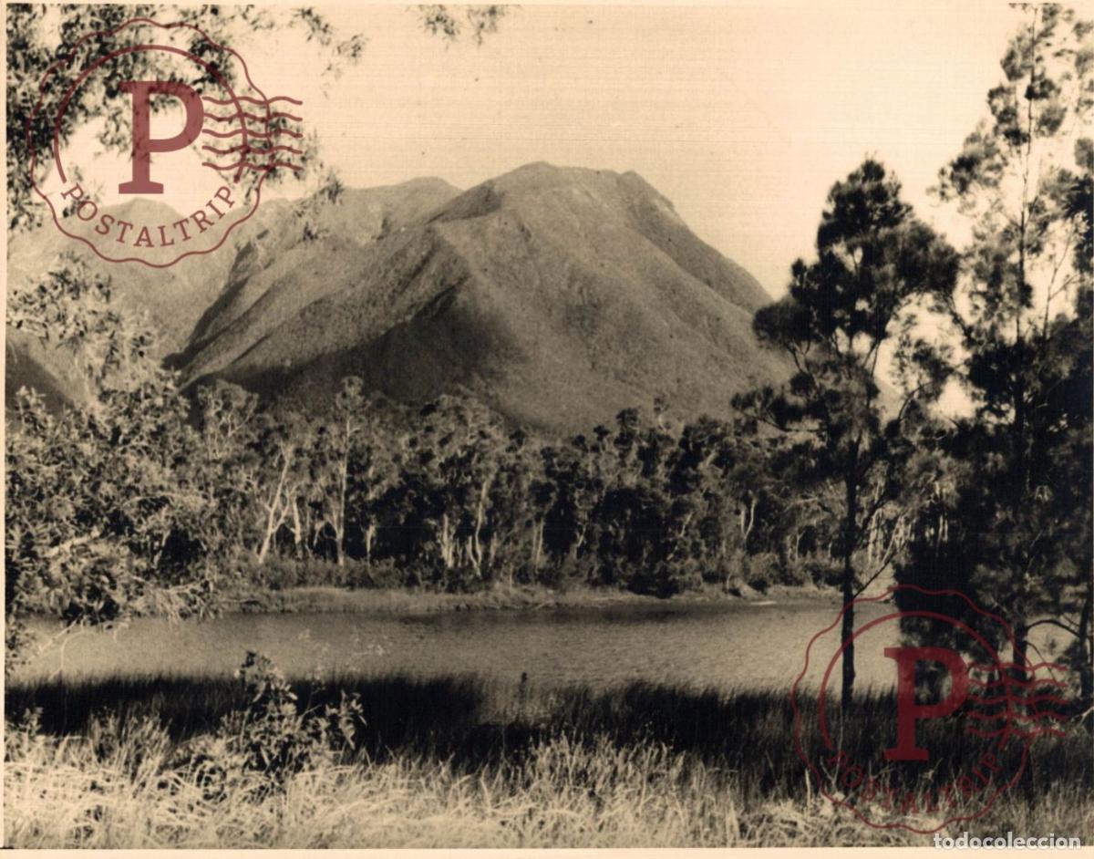 Fotograf&iacute;a antigua: OCEANIA OCEANIE. NOUVELLE CALEDONIE. NUEVA CALEDONIA. LE MONT DORE +- 23.5X17.5CM