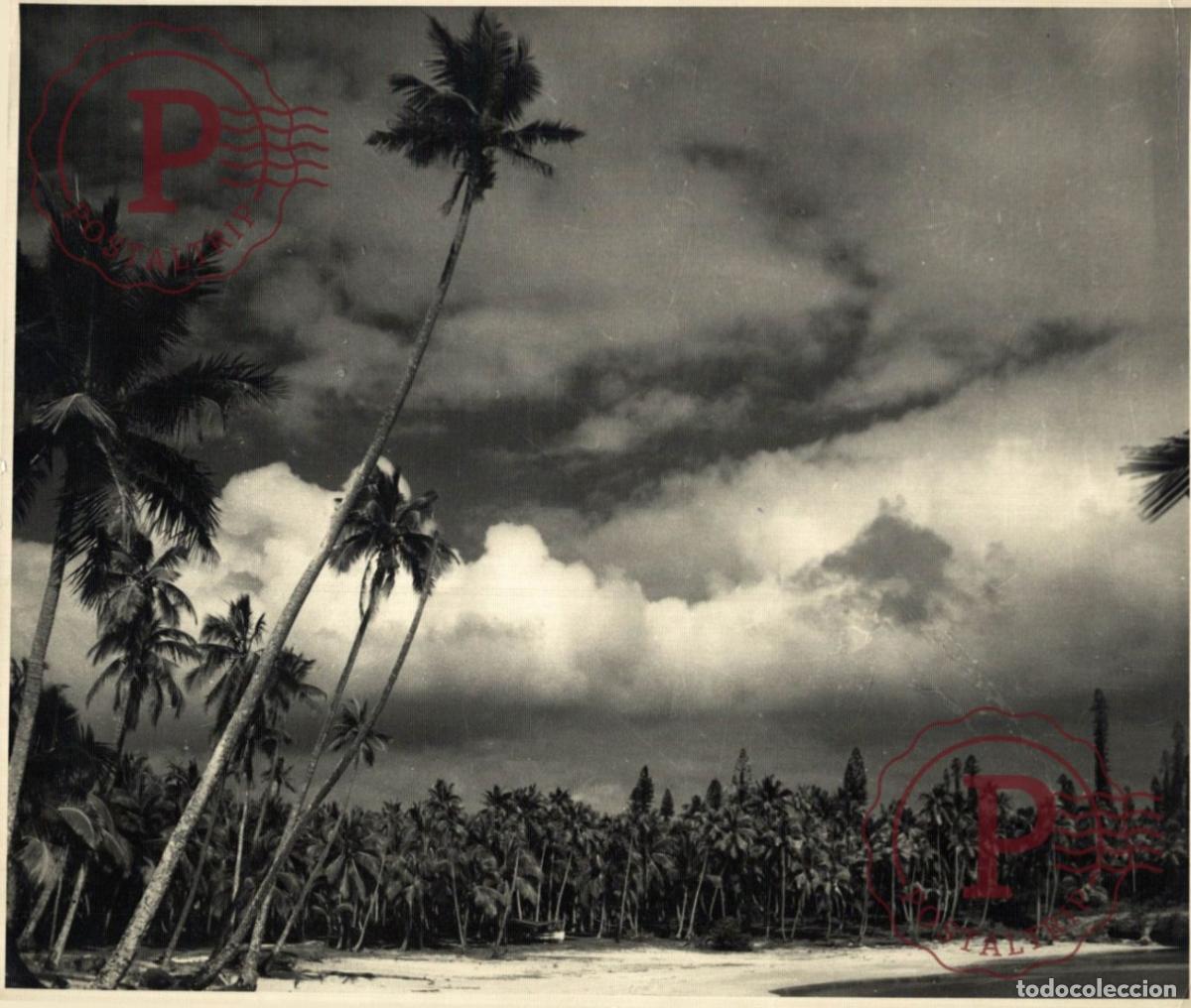 Fotograf&iacute;a antigua: OCEANIA OCEANIE. NOUVELLE CALEDONIE. NUEVA CALEDONIA. +- 23.5X17.5CM
