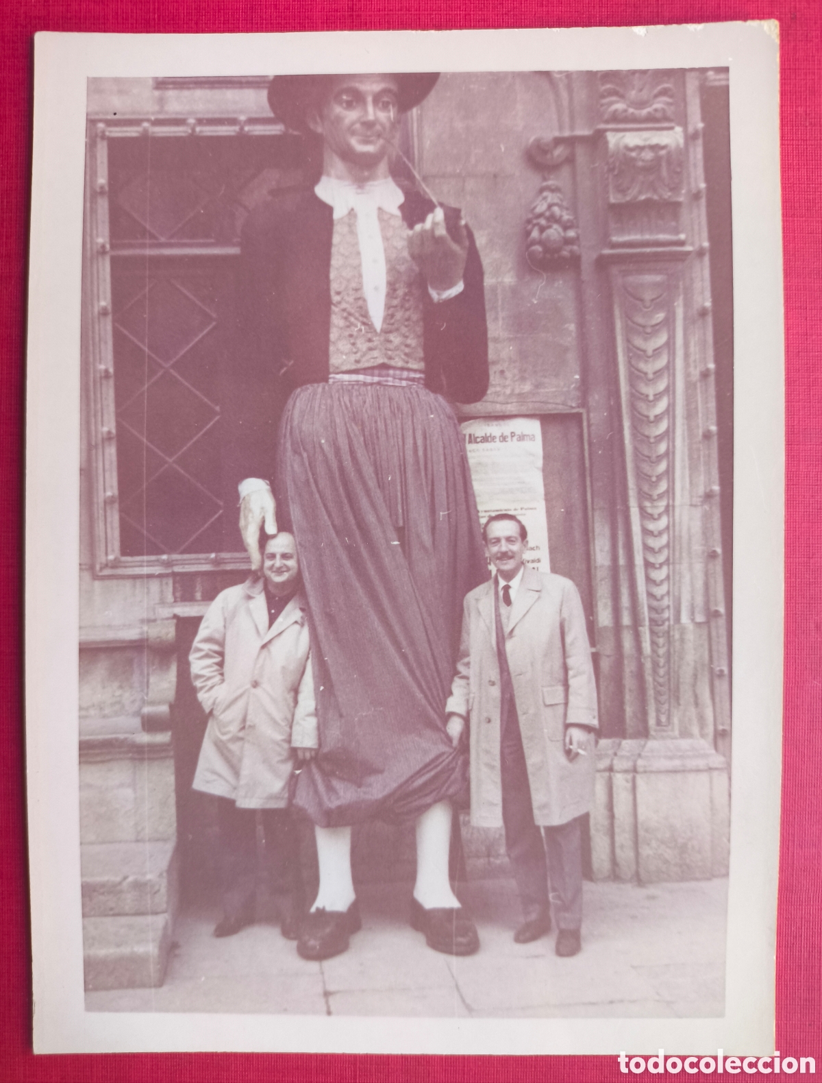Fotograf&iacute;a antigua: PALMA GEGANT T&Ograve;FOL FOTOGRAF&Iacute;A COLOR BALEARS C. 1965