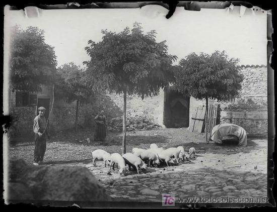 Fotograf&iacute;a antigua: Catalu&ntilde;a, localizaci&oacute;n por identificar. 1900's. cristal negativo 9x12 cm.