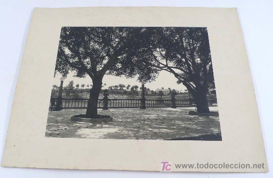 Antique Photography: LOCALIZACI&Oacute;N DESCONOCIDA, 1920'S. TAMA&Ntilde;O SOPORTE:35 X 27 CM