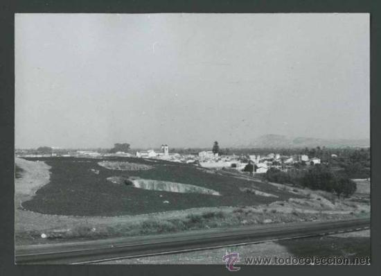 Antique Photography: Alicante. Zona ajardinada. c. 1965