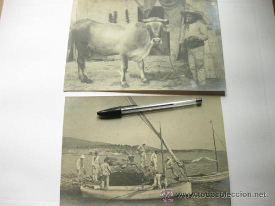 Fotografia antica: DOS FOTOGRAFIAS ANTIGUAS DE ALGUNA REGION ESPA&Ntilde;OLA - POSIBLE ASTURIAS O CANTABRIA