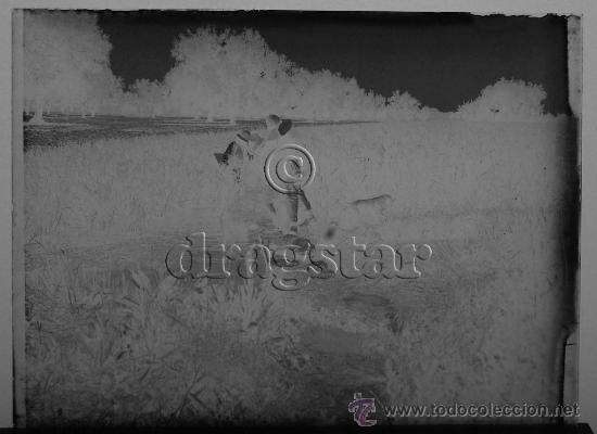 Antique Photography: PLACA FOTOGRAFICA ORIGINAL CRISTAL 9X12 CAZADORES CON PERRO EN CASTELLON