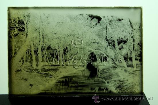 Antique Photography: PLACA FOTOGRAFICA ORIGINAL CRISTAL TAMA&Ntilde;O 10X15 PINAR Y AZEQUIA ENTRILLES GRAO DE CASTELLON G 1