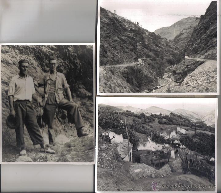 Fotograf&iacute;a antigua: 3 FOTOGRAFIAS ALREDEDORES DE GRANADA, VIVIENDA DE PAISANO ALIMENTANDO CERDOS. 14 X 11 CM