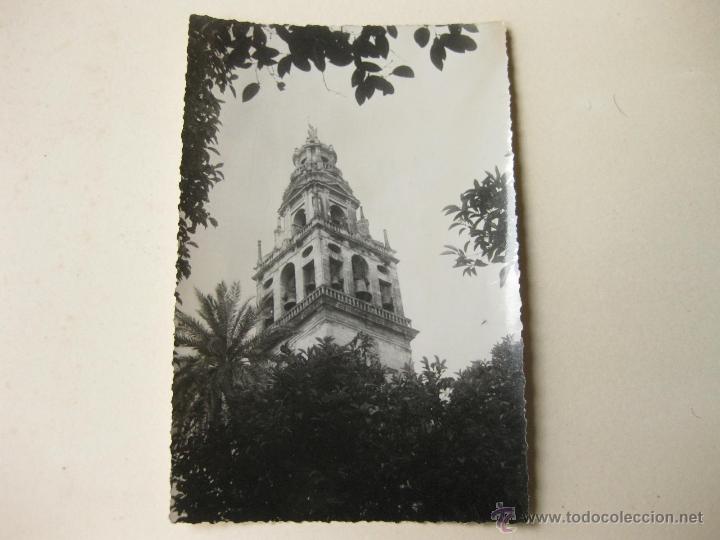 Fotograf&iacute;a antigua: FOTOGRAFIA DE LOS A&Ntilde;OS 40 DE CORDOBA - REPORTEJES SANTOS