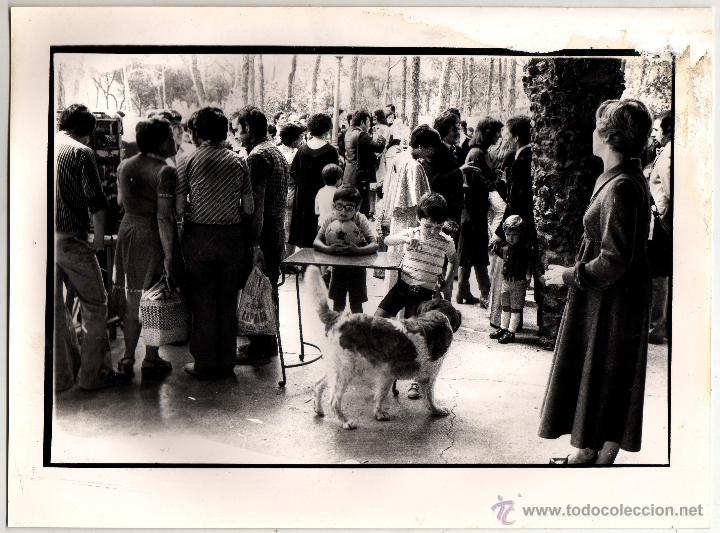 Fotograf&iacute;a antigua: FOTO COLONIA GUELL 12 D'OCTUBRE 1977 CRIPTA GAUDI FOT FRANCESC FABREGAS