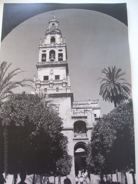 Fotograf&iacute;a antigua: CORDOBA CATEDRAL FOTOGRAFIA POR VIAJERO AMERICANO A&Ntilde;OS 50 30 X 22 CMTS