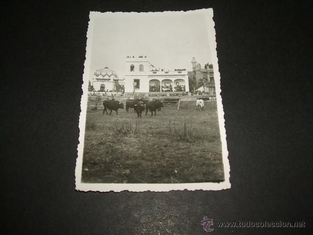 Fotografia antiga: ANTEQUERA MALAGA FERIA 1953 ANTIGUA FOTOGRAFIA