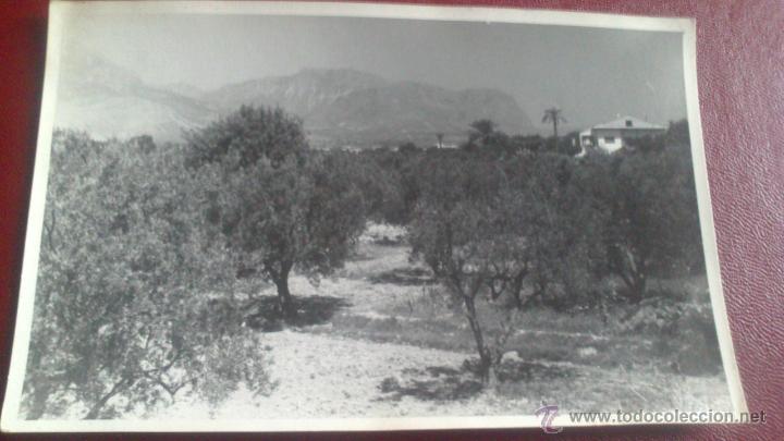 Fotograf&iacute;a antigua: FOTOGRAFIA PAISAJE ANDALUZ.