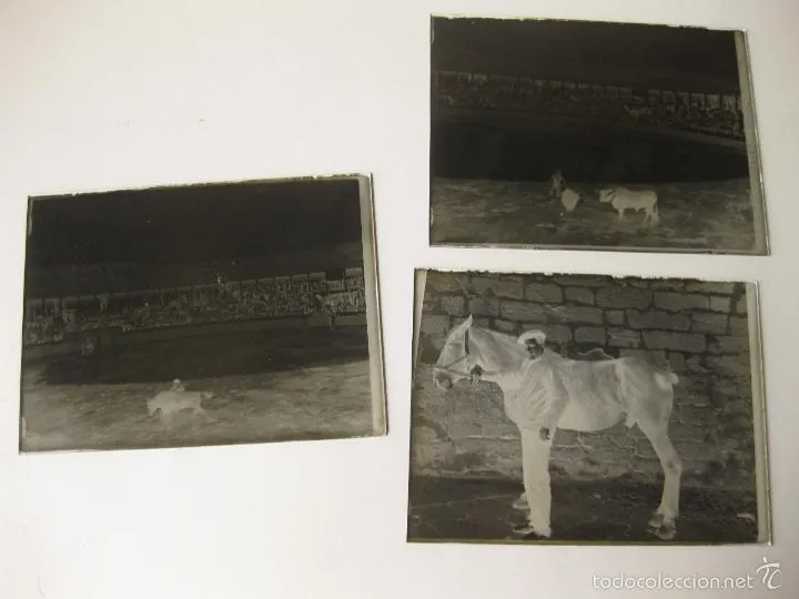 3 PLACAS FOTOGRAFICAS EN NEGATIVO DE UNA PLAZA DE TOROS CON CORRIDA DESCONOCIDA