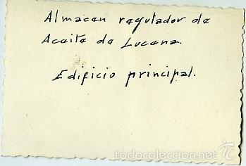 Fotograf&iacute;a antigua: Lucena. C&oacute;rdoba. Almac&eacute;n rectangular de aceite. Edificio principal. - Foto 2