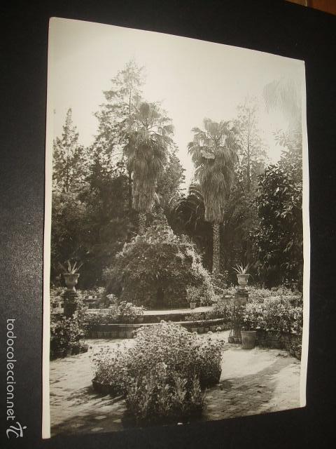 Antique Photography: CADIZ UN ASPECTO DE LOS JARDINES FOTOGRAFIA A&Ntilde;OS 20 13 X 18 CMTS CHRISTIAN DE CATERS FOTOGRAFO