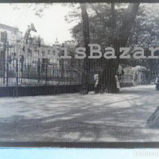 Fotografía antigua: NEGATIVO PLACA CRISTAL - GELATINO-BROMURO DE ARGENTA - 9 X 12 CM. - AÑO 1910 - JIRAFA EN ZOO