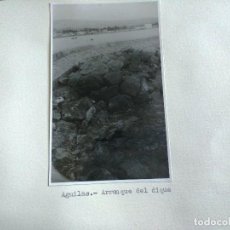 Fotografía antigua: FOTOGRAFIA SOBRE CARTON DE AGUILAS, MURCIA, AÑOS 40/50, VER PIE DE FOTO