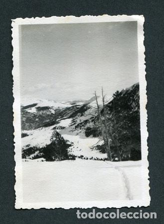 Fotograf&iacute;a antigua: LA MOLINA. Estaci&oacute;n de esqu&iacute;. Paisaje nevado-4. 2/1950