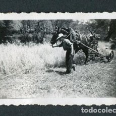 Photographie ancienne: ESPONELLÀ. GIRONA. PAYÉS TRILLAMDO. C. 1944. Lote 112287059