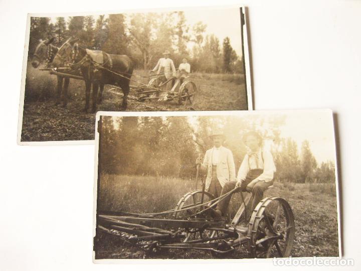 Fotografia antica: PAREJA DE FOTOGRAFIAS TAMA&Ntilde;O POSTAL DE UNA SEGADORA. MAQUINARIA AGR&Iacute;COLA. GUADA&Ntilde;ADORA