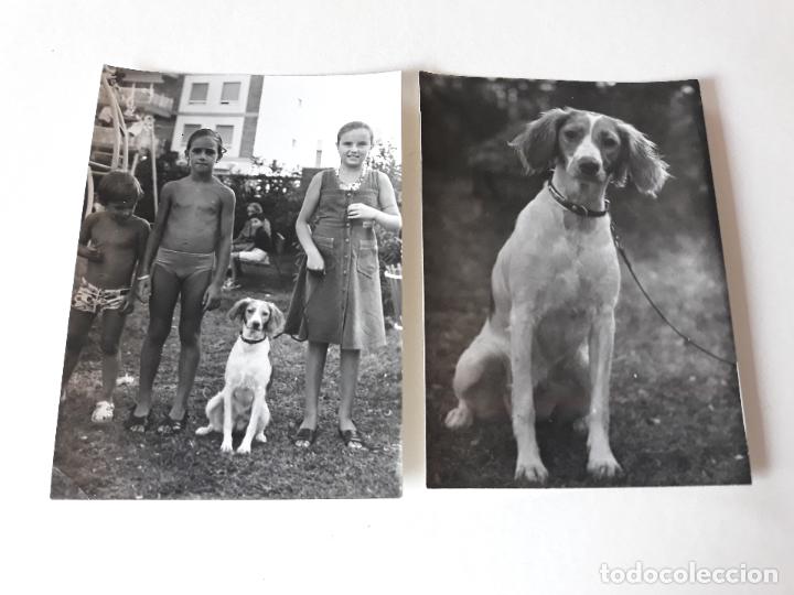 Antique Photography: NI&Ntilde;OS CON PERRO 2 FOTOGRAFIAS A&Ntilde;OS 50 7,5 X 10,5 CMTS