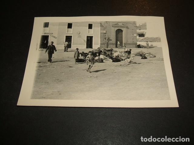Alte Fotografie: BOBADILLA MALAGA ANTIGUA FOTOGRFAFIA A&Ntilde;OS 40 PLAZA Y GANADO