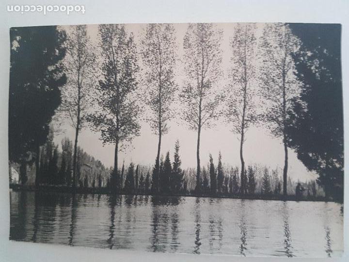 Fotograf&iacute;a antigua: PAISAJE VEGETACION RIBERA GONZALO RAMIREZ FOTOGRAFIA A&Ntilde;OS 50