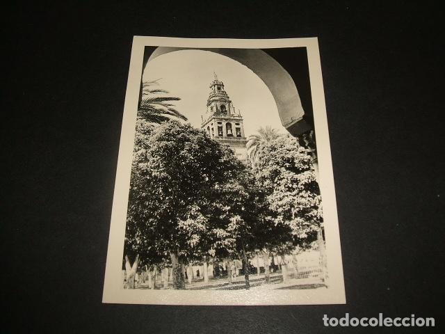 Fotografia antica: CORDOBA TORRE DE LA CATEDRAL FOTOGRAFIA A&Ntilde;OS 40 POR VIAJERO ALEMAN 7,5 X 10,5 CMTS