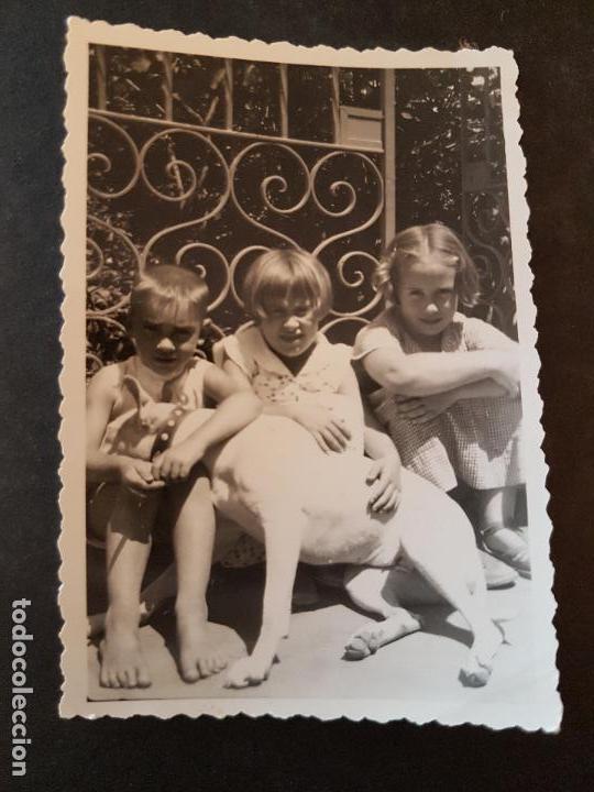 Alte Fotografie: NI&Ntilde;OS CON PERRO FOTOGRAFIA A&Ntilde;OS 30 6 X 9 CMTS