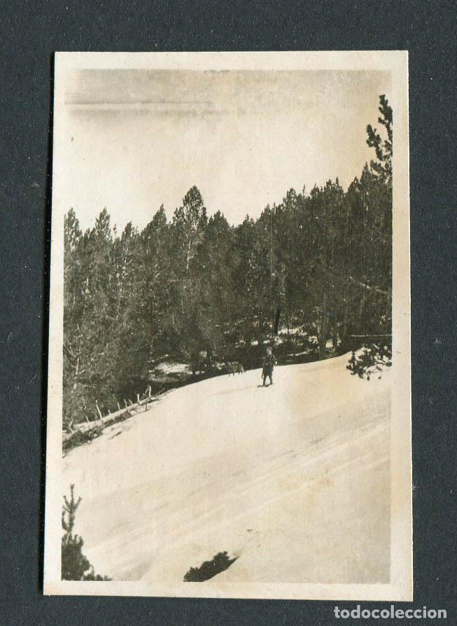 Fotograf&iacute;a antigua: ESQU&Iacute;. Esqu&iacute; de fondo. Esquiador. c.1925