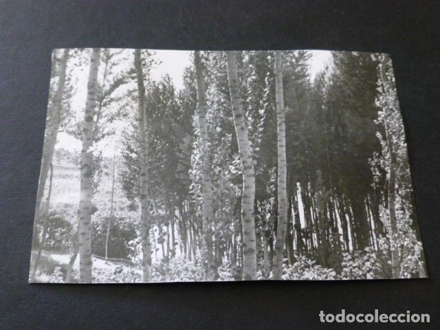 Alte Fotografie: lagunas de ruidera ciudad real albacete antigua fotograf&iacute;a 7,5 x 10,5 cmts