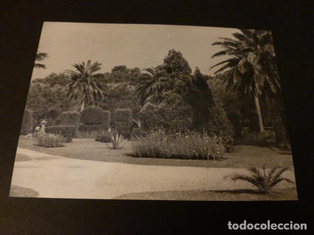 Alte Fotografie: la toja pontevedra antigua fotograf&iacute;a 7,5 x 10,5 cmts