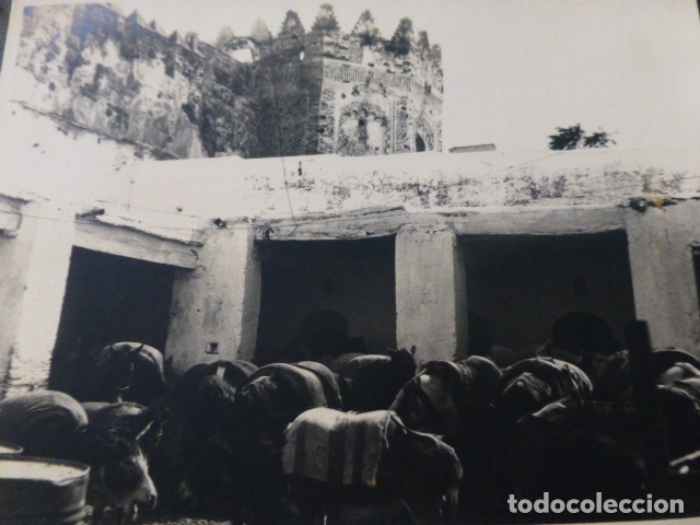 Fotograf&iacute;a antigua: TETUAN MARRUECOS ESPA&Ntilde;OL FOTOGRAFIA 1930 POR DIPLOMATICO ALEMAN