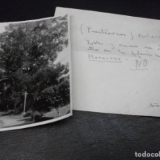Photographie ancienne: PUENTEAREAS PONTEVEDRA - ROBLE Y CRUCERO EN EL ALTO DE LA IGLESIA DE MOREIRAS - FOTOGRAFÍA 1949. Lote 171619103