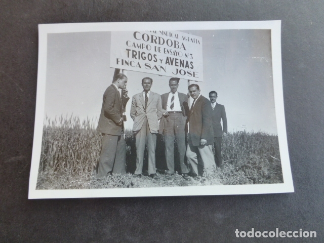 Fotografia antica: CORDOBA FINCA SAN JOSE CAMPO DE ENSAYO INGENIEROS AGRONOMOS FOTOGRAFIA 1952 6 X 9 CMTS