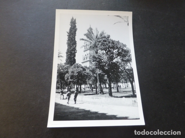 Alte Fotografie: CORDOBA PATIO DE LOS NARANJOS ANTIGUA FOTOGRAFIA