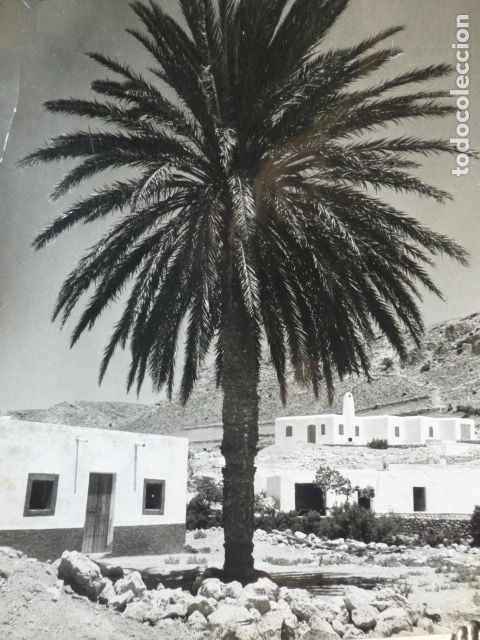 Photographie ancienne: ALMERIA BARRIADA DE AGUA AMARGA FOTOGRAFIA A&Ntilde;OS 50