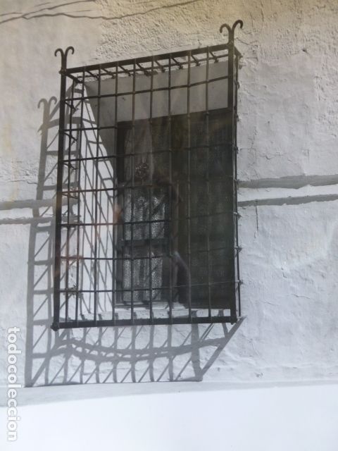 Fotografia antiga: VELEZ BLANCO ALMERIA REJA TIPICA ANTIGUA DE CAMPO FOTOGRAFIA A&Ntilde;OS 50