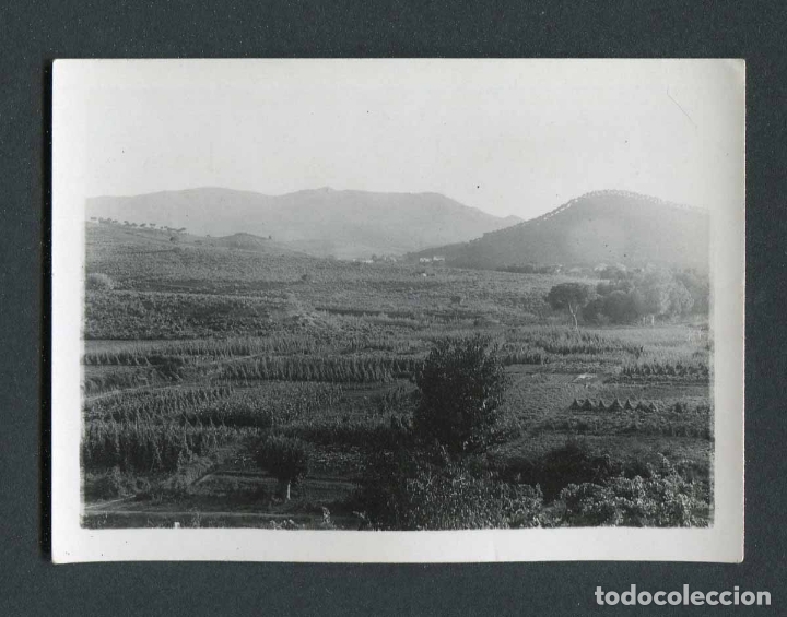 Fotograf&iacute;a antigua: Bello paisaje. Cultivos. Lugar sin identificar. c. 1945