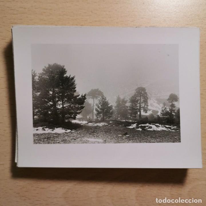 Antique Photography: ANTIGUA FOTOGRAFIA - PAISAJE NEVADO. VALL D'&Agrave;NEU. ESTERRI D'&Agrave;NEU - A&Ntilde;OS 70 - 11,7 X 9 CM / 172