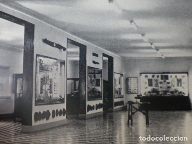 Fotograf&iacute;a antigua: SANTA CRUZ DE TENERIFE MUSEO ANTIGUO HUECOGRABADO