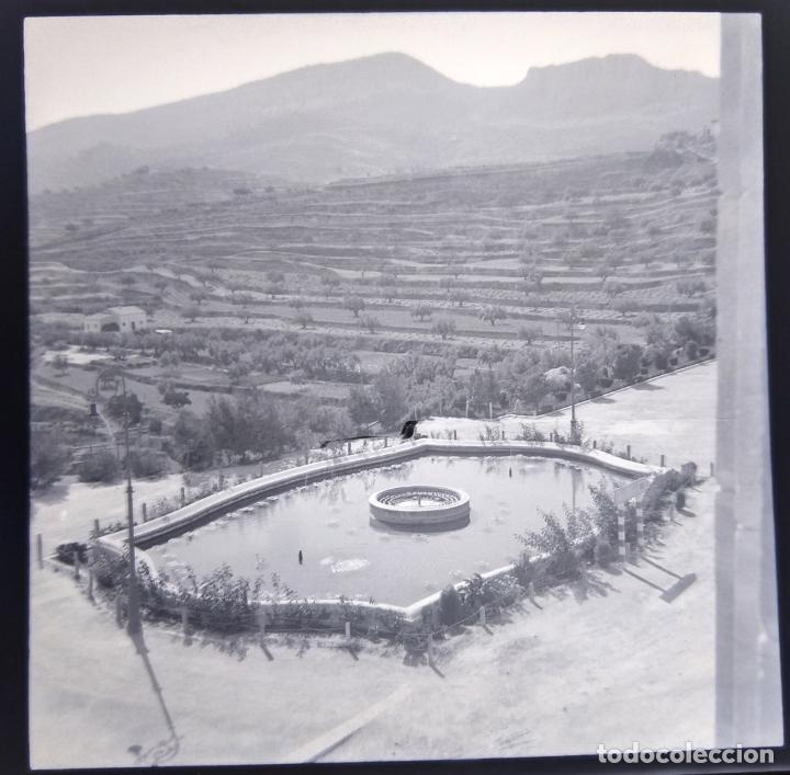 Alte Fotografie: ALCOY PASEO AMALIO GIMENO NEGATIVOS CELULOIDE