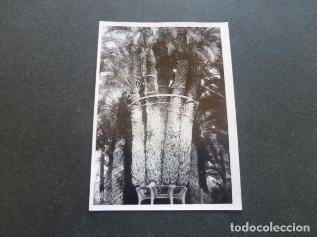 Antique Photography: ELCHE ALICANTE FOTOGRAFIA ANTIGUA 7,5 X 10,5 CMTS
