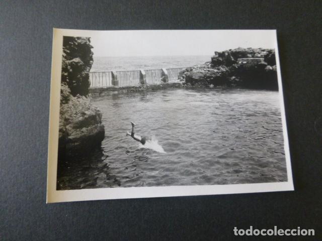 Fotografia antiga: SANTA CRUZ DE LA PALMA CHARCO AZUL ANTIGUA FOTOGRAFIA 7,5 X 10,5 CMTS